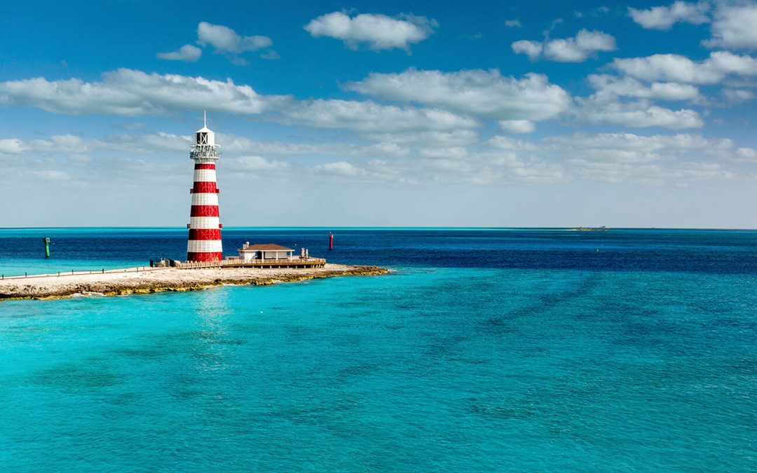 Private island for a day: a cruise holiday on Ocean Cay MSC Marine Reserve